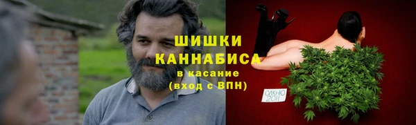 молекула духа Надым