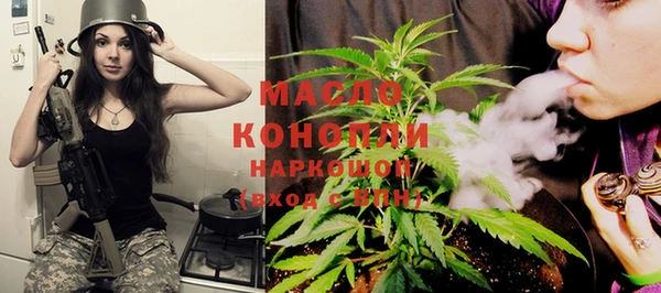 молекула духа Надым
