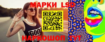 амф Заволжье