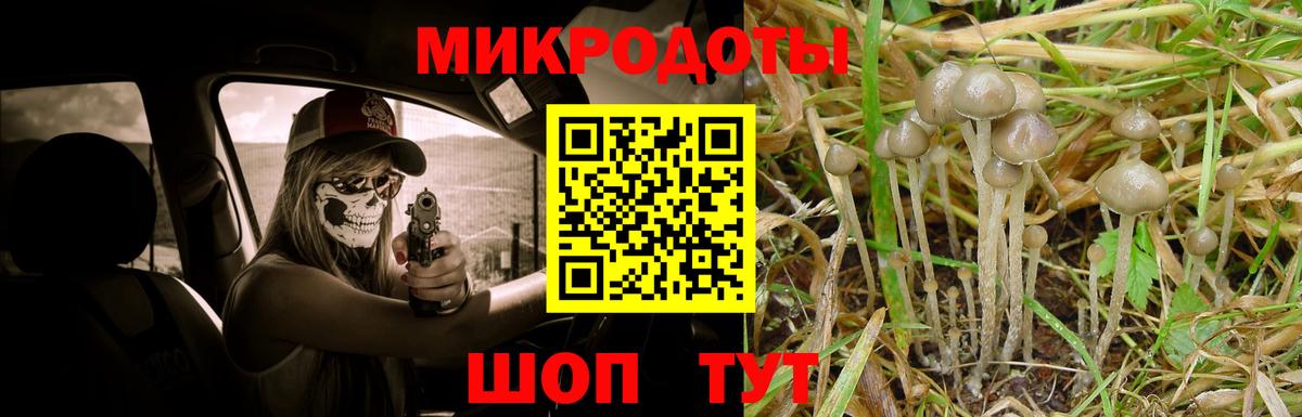 Галлюциногенные грибы GOLDEN TEACHER  продажа наркотиков  Кубинка  Вход с VPN 